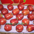 Red Delicious Apple with High Standard